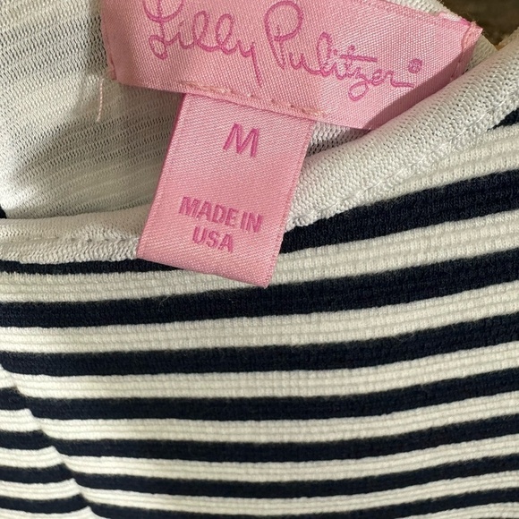 Lilly Pulitzer Briella Navy and White Striped Mini Dress - Picture 6 of 6